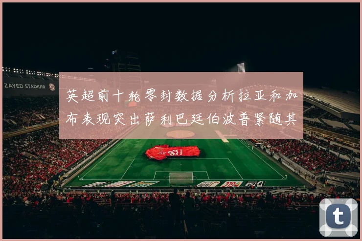 英超前十轮零封数据分析拉亚和加布表现突出萨利巴廷伯波普紧随其后