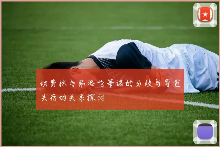切费林与弗洛伦蒂诺的分歧与尊重共存的关系探讨